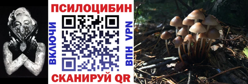 Купить где  Муравленко  Галлюциногенные грибы Psilocybe 